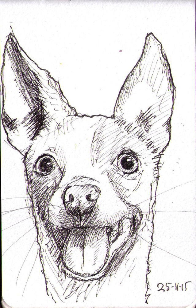639x1000 Sketch Of A (Very) Silly Looking Dog One Drawing Daily - Dog Picture Sketch