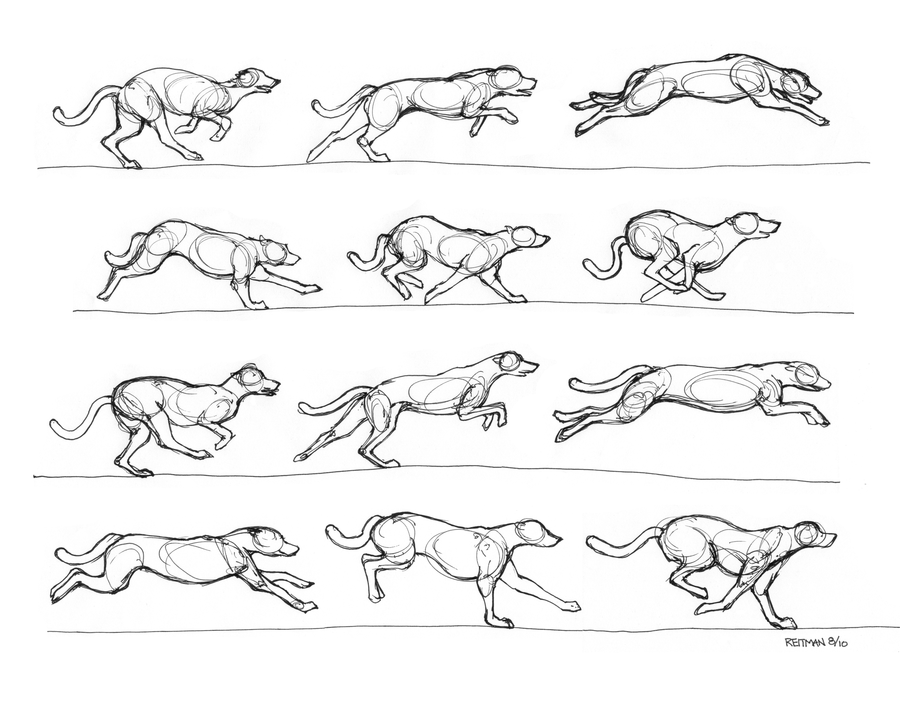 Dog Running Sketch At Paintingvalley Com Explore Collection Of Dog Running Sketch