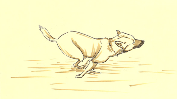 587x330 Images Dog Running Sketch - Dog Running Sketch