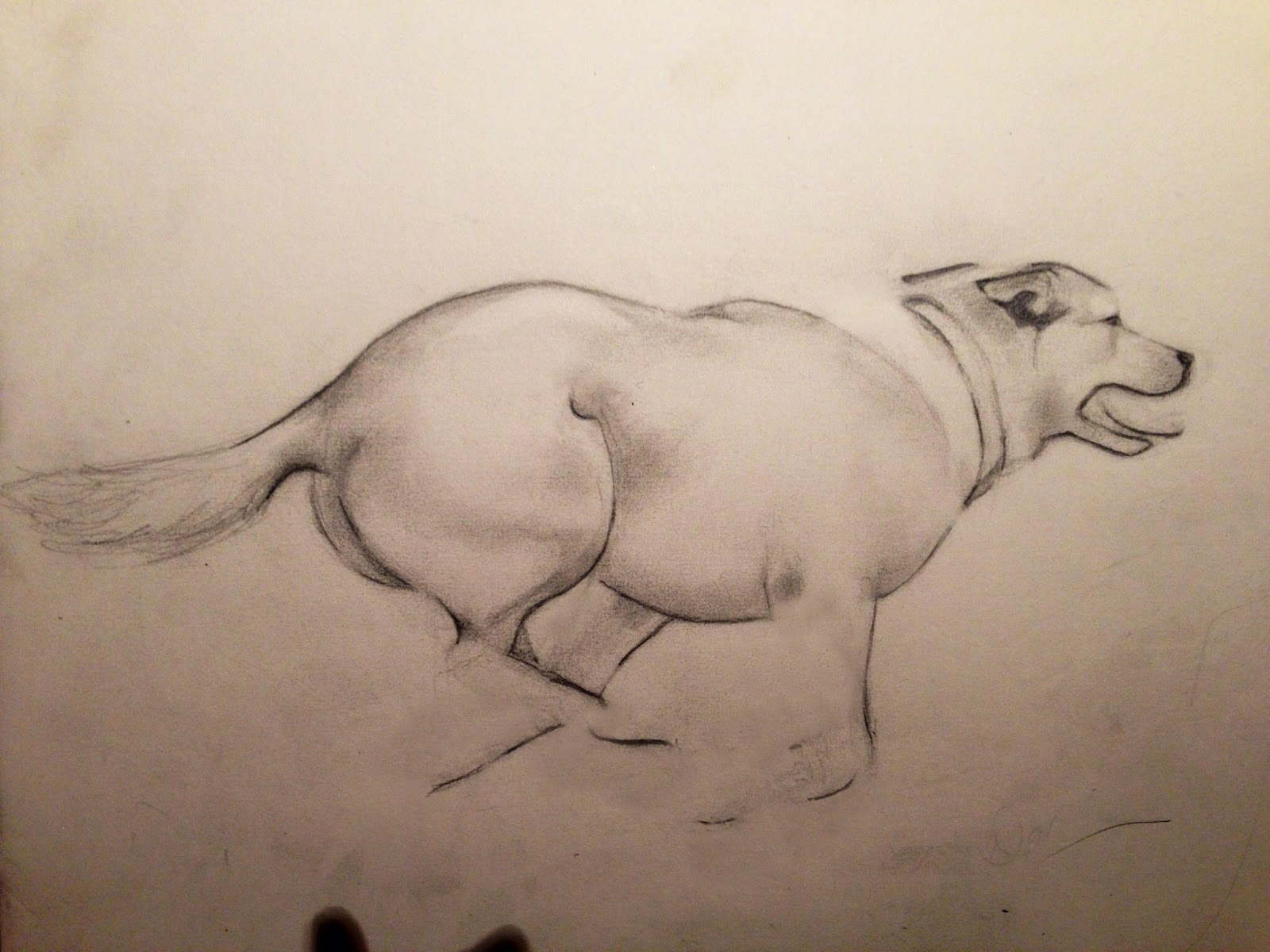 1600x1200 Kellas Campbell Another Drawing Of A Running Dog - Dog Running Sketch