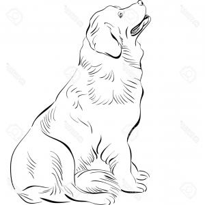 300x300 Photostock Vector Continuous Line Drawing Dog Dachshund Running - Dog Running Sketch