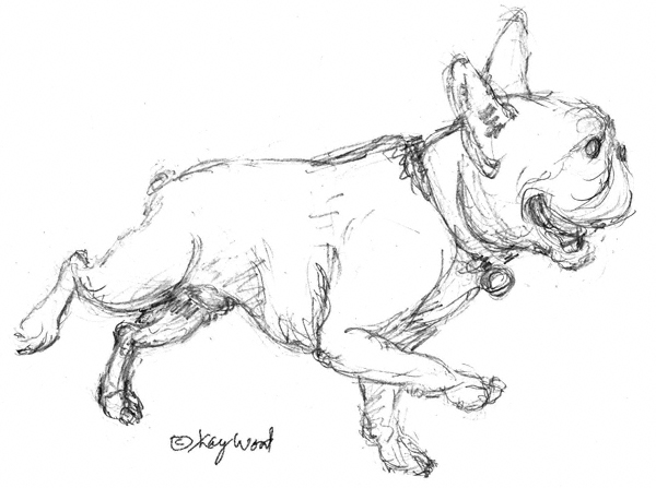 600x447 Bulldog The Big Belch - Dog Running Sketch