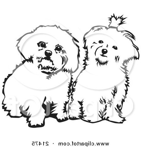 450x470 Maltese Clipart Little Dog 3688837 - Dog Sitting Sketch