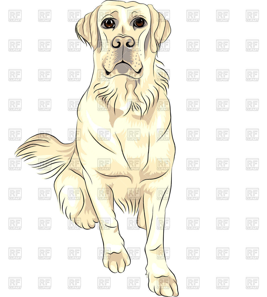1080x1200 Sketch Of Serious Dog - Dog Sitting Sketch