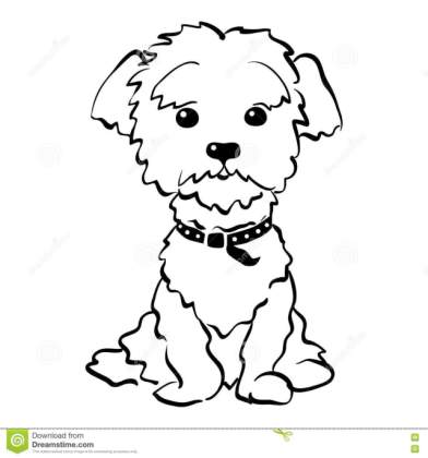 392x420 Vector Sketch Funny Maltese Dog Sitting Stock Drawing Of A - Dog Sitting Sketch