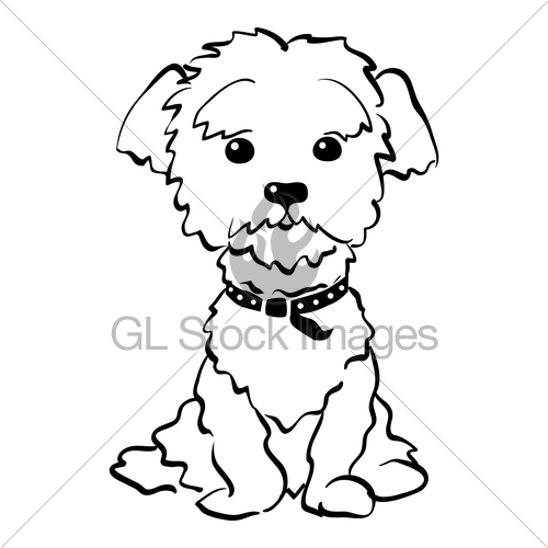 500x500 Vector Sketch Funny Maltese Dog Sitting Gl Stock Images - Dog Sitting Sketch