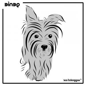 300x300 Vector Sketch Funny Yorkshire Terrier Dog Sitting Image Lazttweet - Dog Sitting Sketch