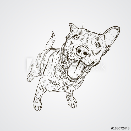 Dog Sitting Sketch at PaintingValley.com | Explore collection of Dog