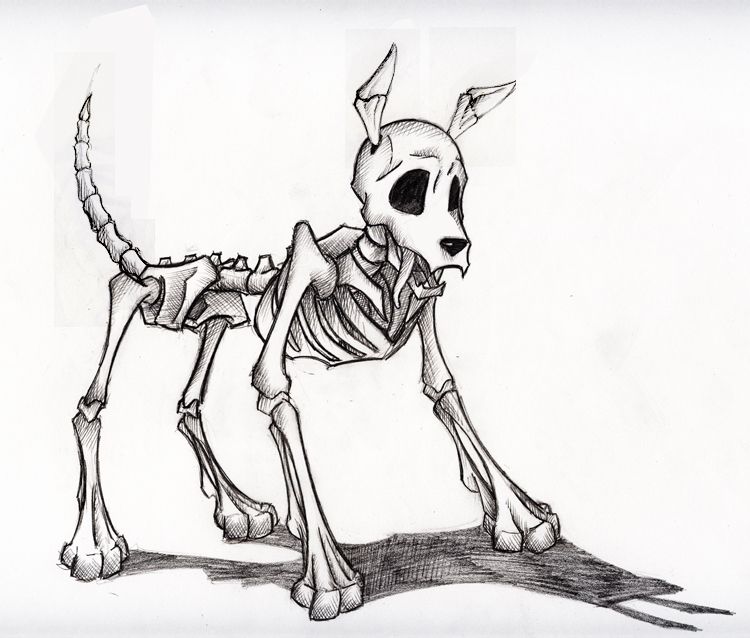 750x638 Dogwoof Woof! The Skeleton Dog Wags Its Tail With Joy As It - Dog Skeleton Sketch