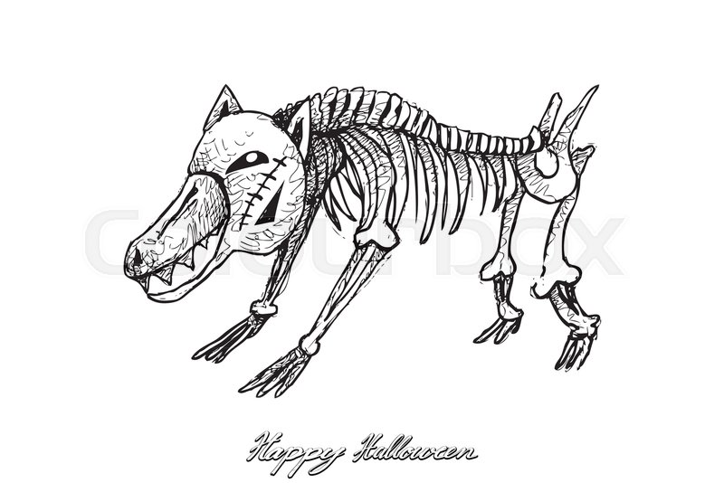 800x534 Holidays And Celebrations, Illustration Hand Drawn Sketch Of Dog - Dog Skeleton Sketch