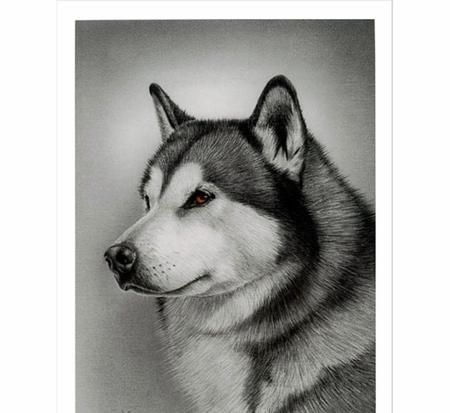 450x413 Dog Sketch - Dog Sketch