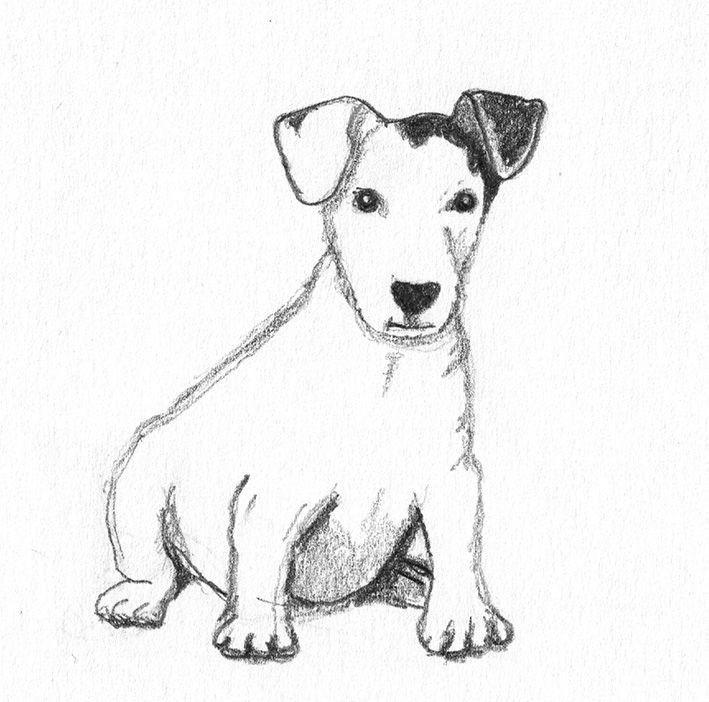 709x702 Dog Sketch Of Cute Little Dog Dogs Dogs, Little - Dog Sketch