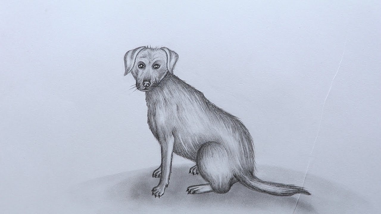 1280x720 How To Sketch A Dog - Dog Sketch Art
