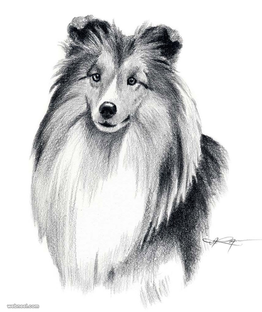 848x1009 30 Beautiful Dog Drawings And Art Works From Top Artists - Dog Sketch Art