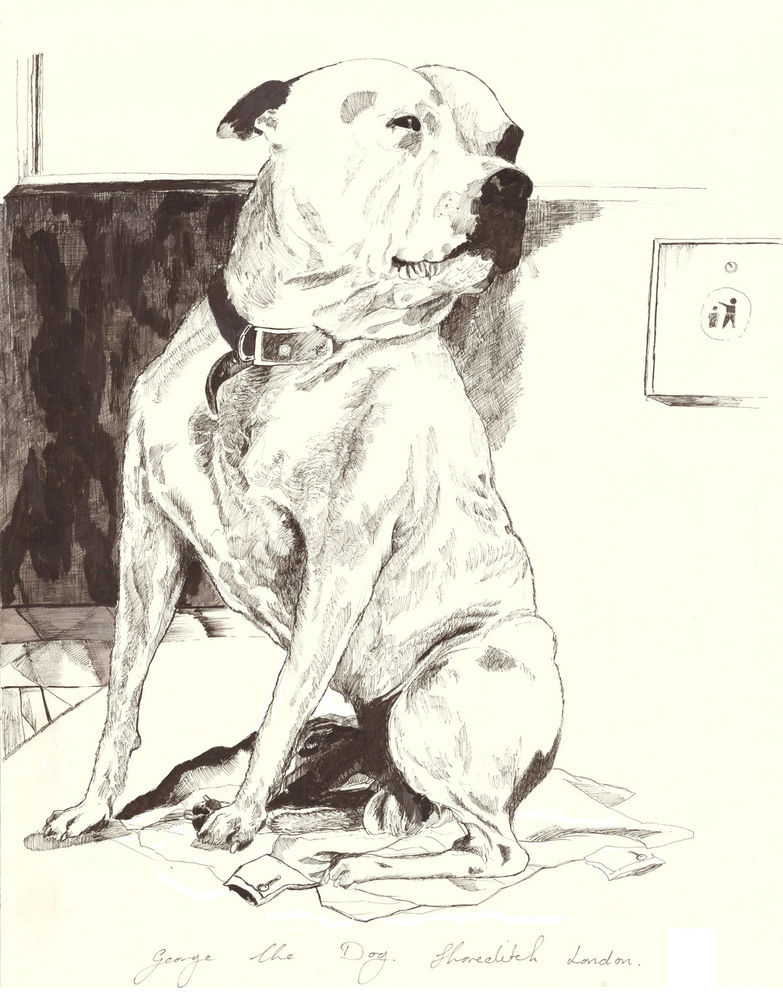 783x1000 Homeless Man Who Sold Sketches Of Dog Now Has Own Art Show - Dog Sketch Artist