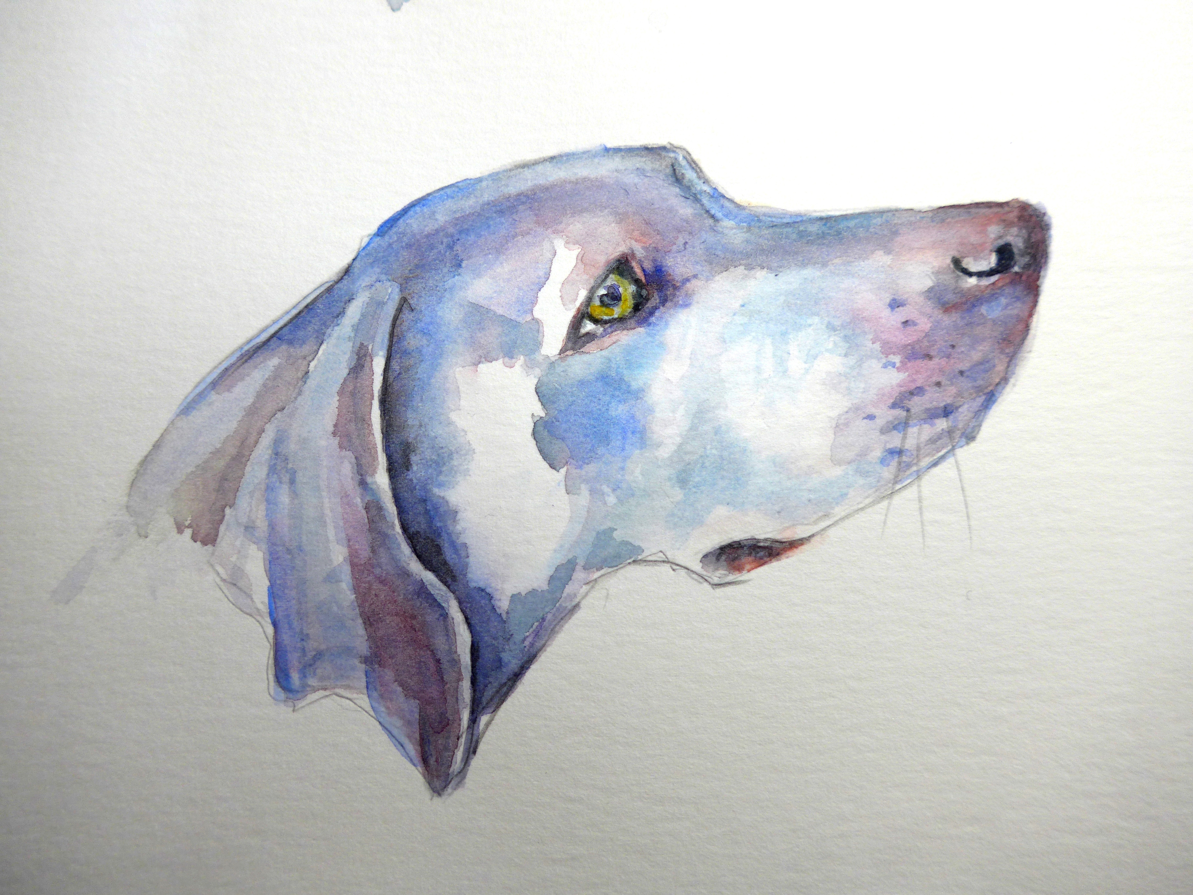 4000x3000 Dog Painting Animal Artist ~ Diane Young - Dog Sketch Artist