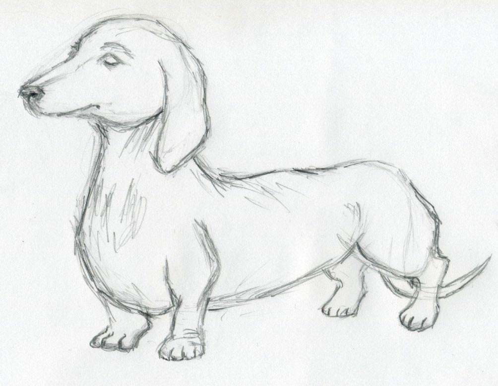 1004x777 Dog Sketches For Inspiration - Dog Sketch Easy