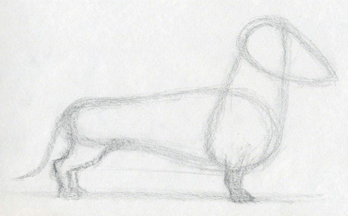 1144x712 Easy Animals To Sketch Easy Animal Sketch How To Draw Dog - Dog Sketch Easy