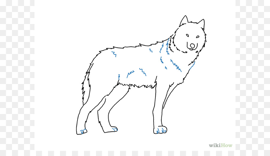 900x520 Gray Wolf Drawing Pencil Sketch - Dog Sketch Easy