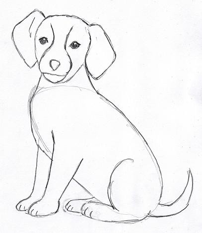 407x469 Dog Sketch Drawing Easy Wallpaper Dog Drawing Step By Step - Dog Sketch Easy
