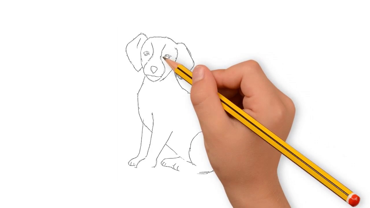 1280x720 Dog Drawing With Pencil Dog Drawing Easy How To Draw Dog For - Dog Sketch For Kids