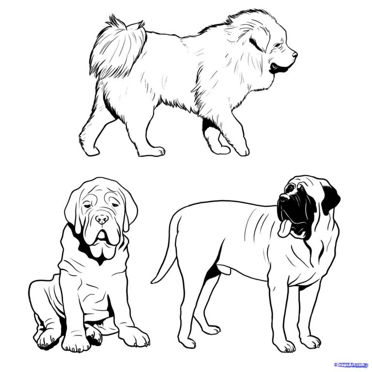 768x768 Sketch Easy For Kids - Dog Sketch For Kids