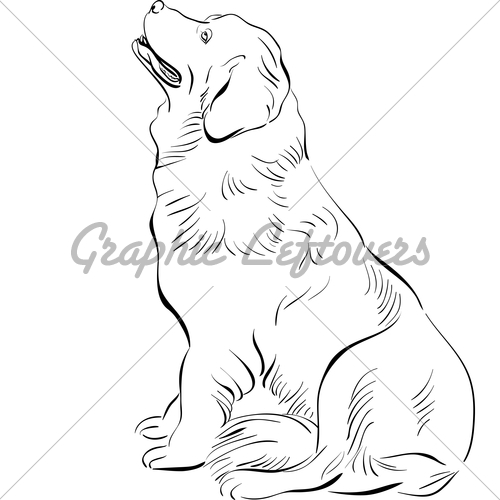 500x500 Vector Sketch Dog Newfoundland Hound Breed Sitting Gl Stock Images - Dog Sketch Images
