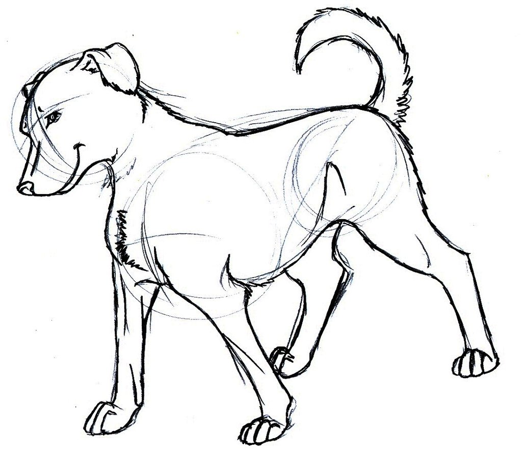 1024x897 Easy Dog Sketches - Dog Sketch Simple