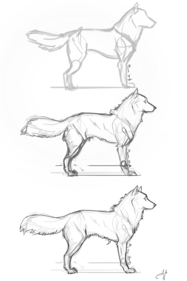 600x902 40 Simple Dog Drawing To Follow And Practice - Dog Sketch Simple