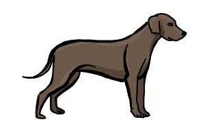 300x200 How To Draw A Simple Dog - Dog Sketch Simple