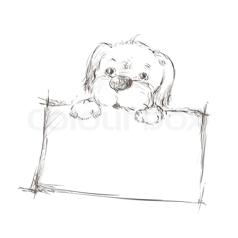 800x800 Sketch Of A Dog Holding Banner Stock Photo Colourbox - Dog Sketch Simple