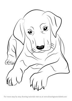236x333 Dog Drawings In Pencil Easy For Kids Sketch Coloring - Dog Sketch Simple