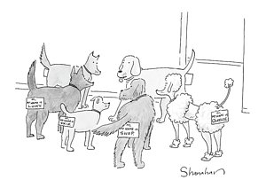 300x212 Dog Tag Drawings Fine Art America - Dog Tag Sketch