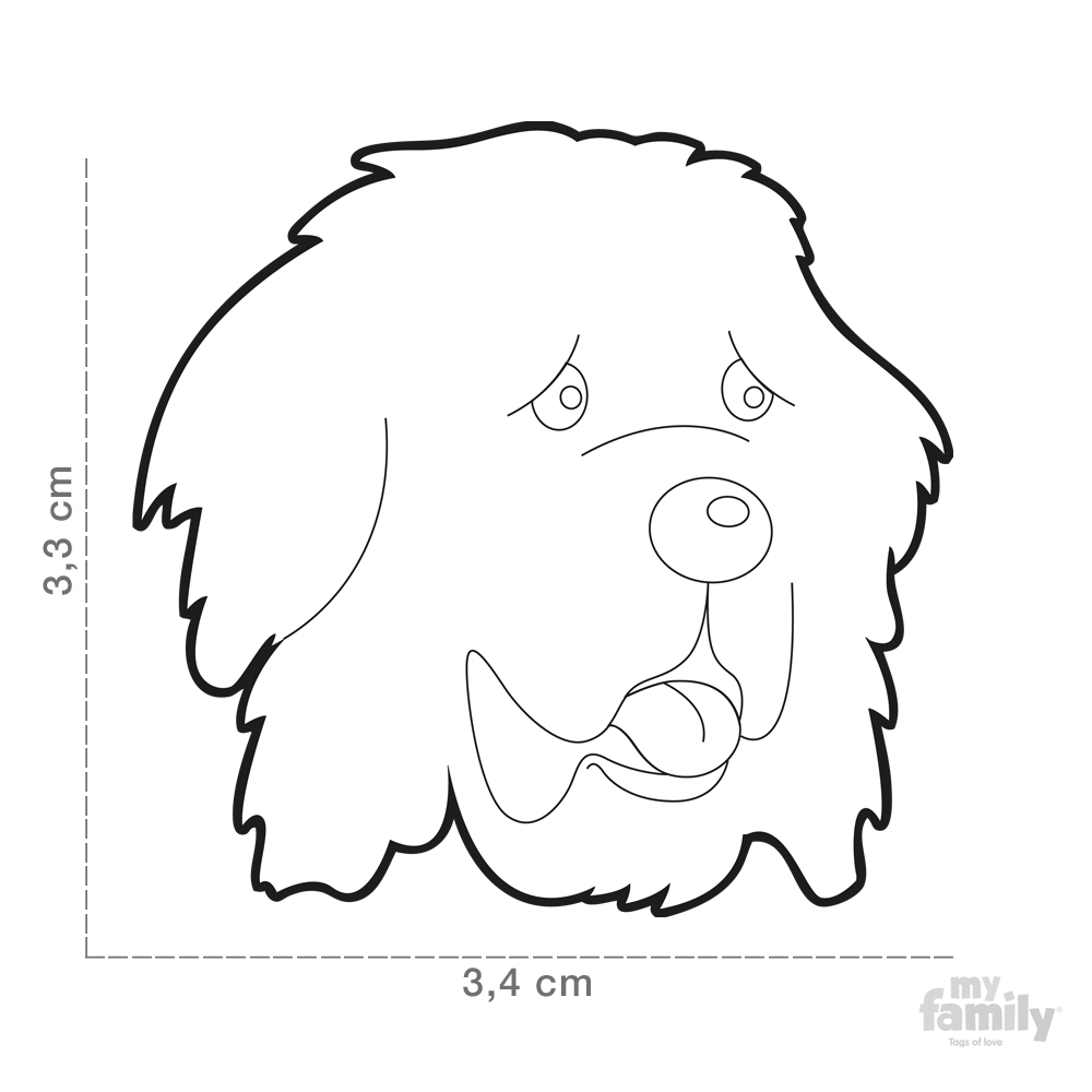 1000x1000 Id Tag For Newfoundland Dog Myfamily - Dog Tag Sketch
