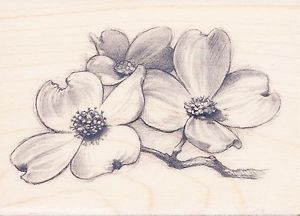 300x216 Dogwood Flowers 97829 Inkadinkado Rubber Stamp ~ Wm Free Shipping - Dogwood Flower Sketch