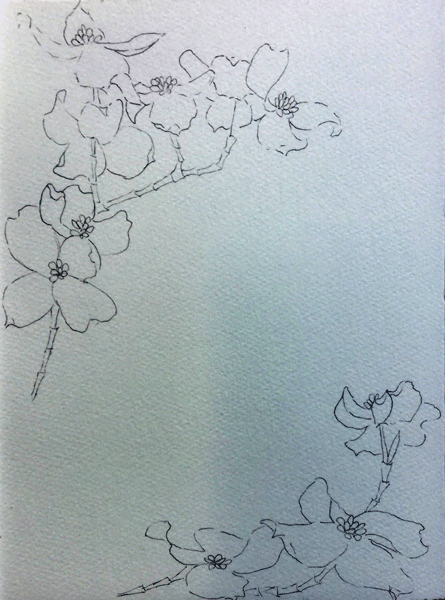 445x600 Watercolor Pink Dogwood Flowers Sketching And Painting The Moments - Dogwood Flower Sketch