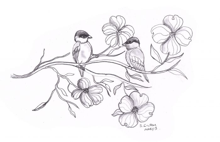 700x452 Sketch Fest! - Dogwood Sketch