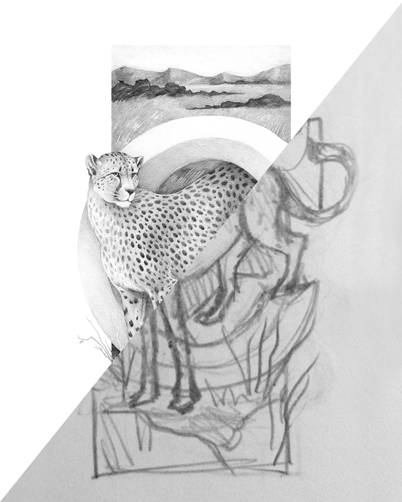 800x1000 Tutorial Transform Your Sketches Into Full Size, Detailed - Dogwood Sketch