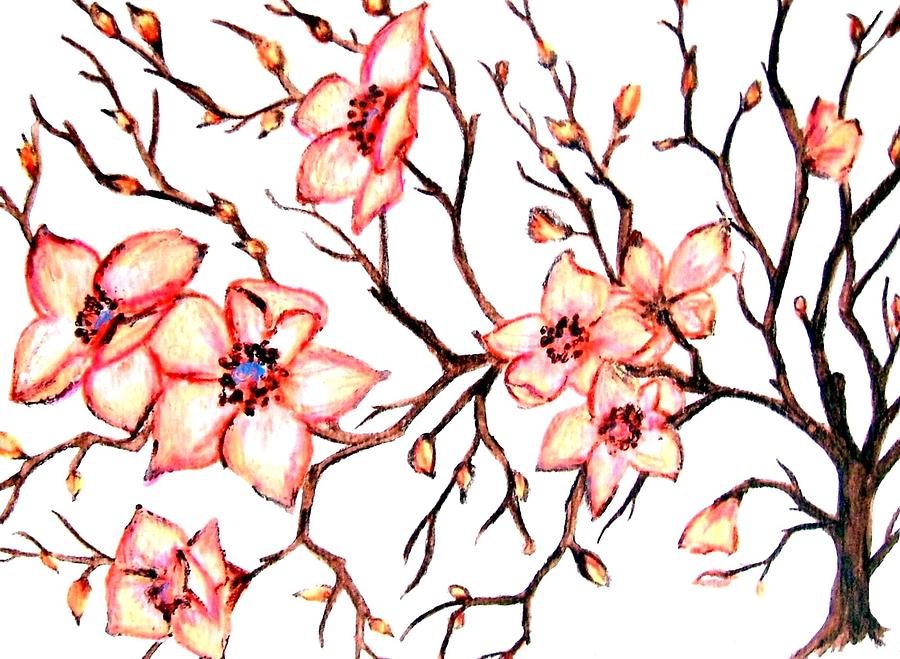 900x659 Easter Dogwood 2 Painting By Colene Milligan - Dogwood Tree Sketch