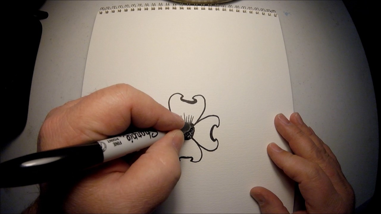 1280x720 Va Dogwood Drawing Instructions - Dogwood Tree Sketch