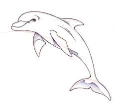 229x221 Dolphin Drawings In Pencil How To Draw A Dolphin Drawing Ideas - Dolphin Pencil Sketch