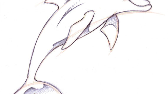 570x320 Drawn Dolphins Pencil Drawing 3308423 - Dolphin Pencil Sketch