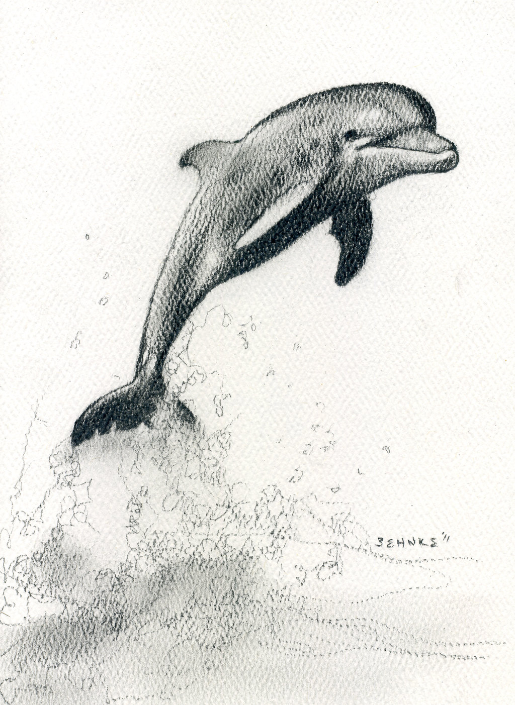 1024x1403 Pencil Drawings Of Dolphins Dolphin Drawing Pencil Dolphin - Dolphin Pencil Sketch