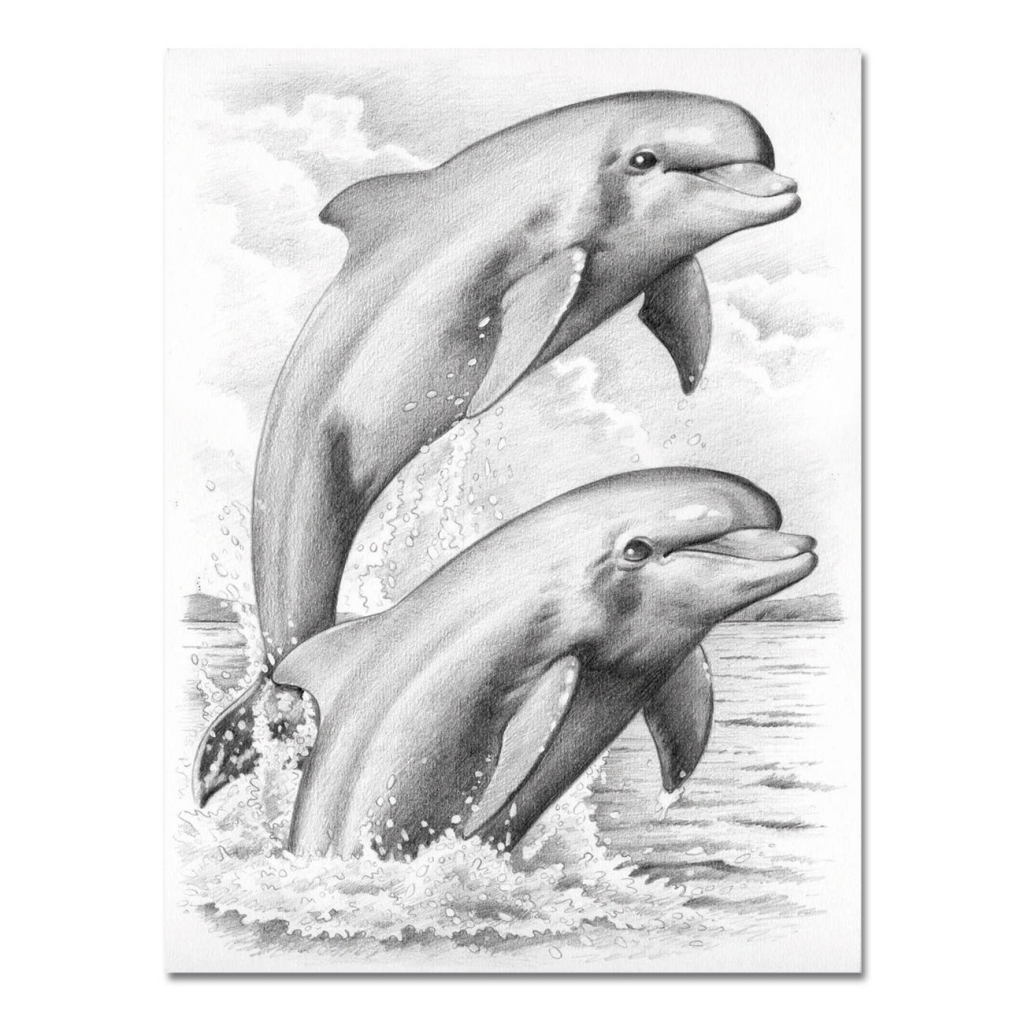 1024x1024 Dolphin Drawings Pencil Dolphin Drawings Pencil Dolphin Drawings - Dolphin Pencil Sketch