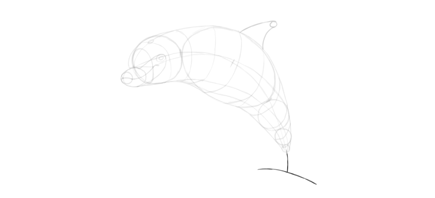 850x387 How To Draw A Dolphin Step By Step - Dolphin Sketch