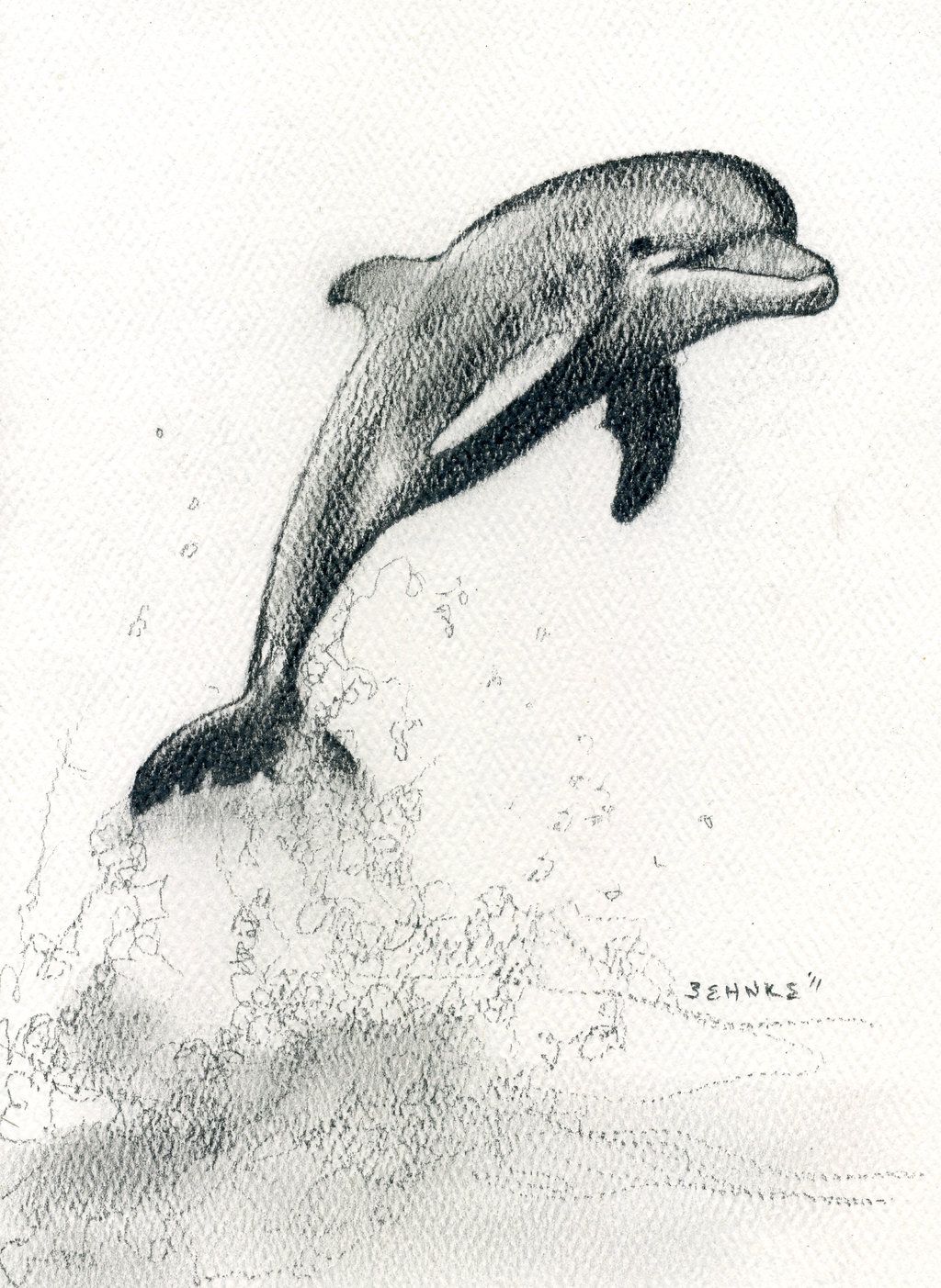 1024x1403 Dolphin Sketch By Jasonbehnke The Sea In 2018 - Dolphin Sketch Images