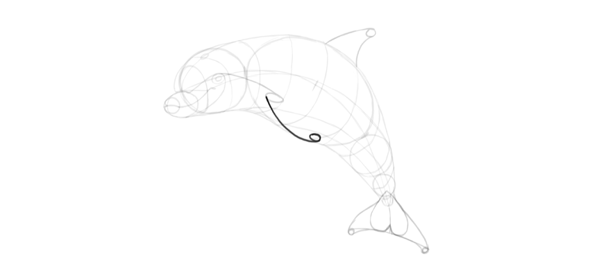 850x387 How To Draw A Dolphin Step By Step - Dolphin Sketch Images