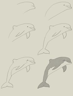 235x307 Dolphin Clipart Tattooed Drawings, Art And Dolphin - Dolphin Sketch Images
