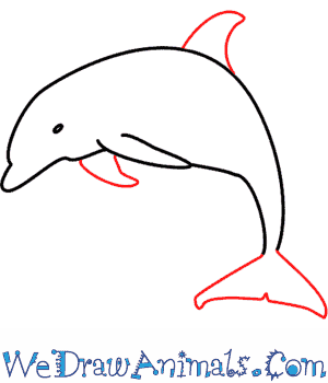 300x350 How To Draw A Dolphin - Dolphin Sketch Step By Step