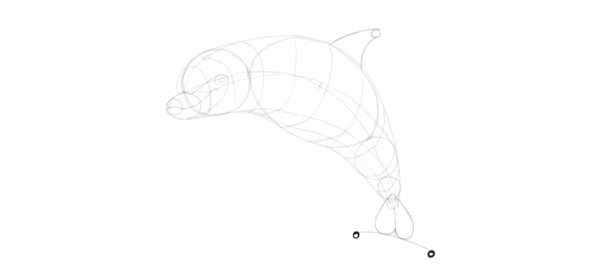 850x387 How To Draw A Dolphin Step By Step - Dolphin Sketch Step By Step
